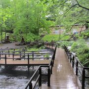 湧水と一体化した美しい公園