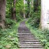 階段登り