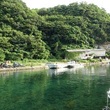 緑に見える海面