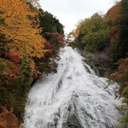 紅葉の時期は見事です