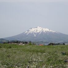 弘前市りんご公園