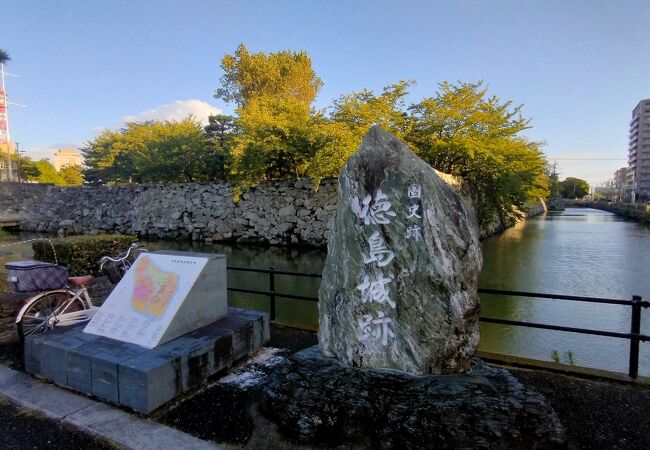 石垣が残る徳島城跡の徳島中央公園で、徳島の方々（100名位）が朝のラジオ体操していました