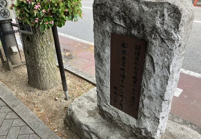 松本城の正面からのびる道