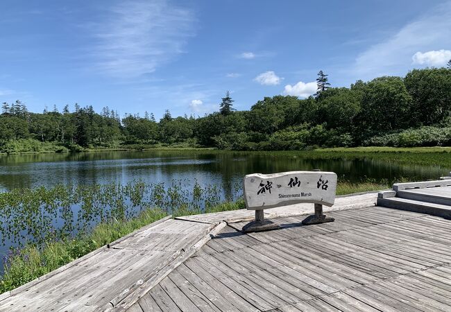 神秘の沼・神仙沼