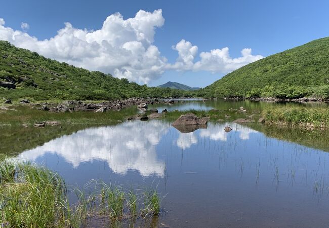 神仙沼よりシャクナゲ沼