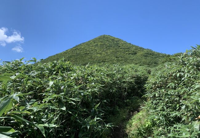 シャクナゲ岳