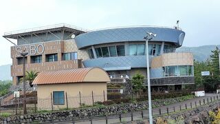 桜島国際火山砂防センター