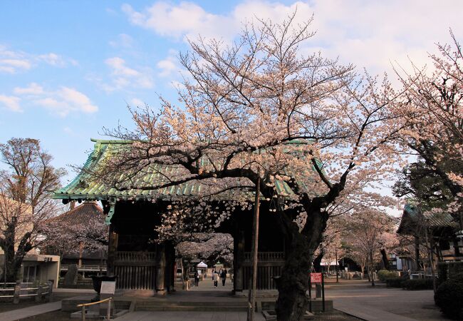 祐天寺