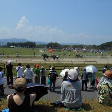 「相馬野馬追」お行列の後の冑競馬　日射病になった馬や人は多い