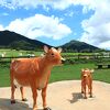 アトラクション充実