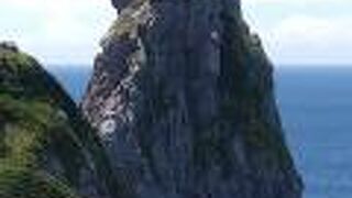 ビックリな大きさ！