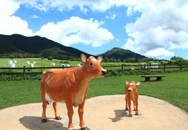 アトラクション充実