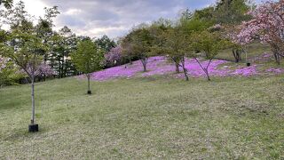 由仁町伏見台展望台