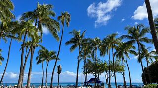 ホノルルに来たら！