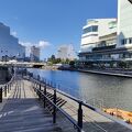 弁天橋や遊歩道から眺めもきれい