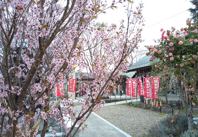 花見に合わせて参拝を