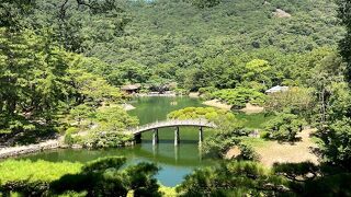 日本一鯉がいる庭園