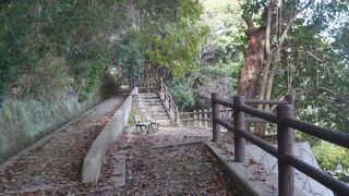 神戸の街並がそれなりに見下ろせます