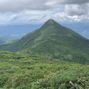 虫だらけの山頂・徳舜瞥山