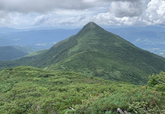 虫だらけの山頂・徳舜瞥山