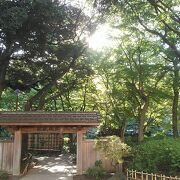 中華街を挟んで関内側の横浜公園に、海側の山下公園、日本庭園もある素敵な横浜公園