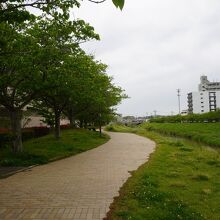 釣川さくらづつみ公園