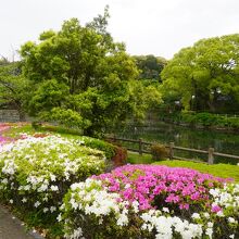 熊越池公園