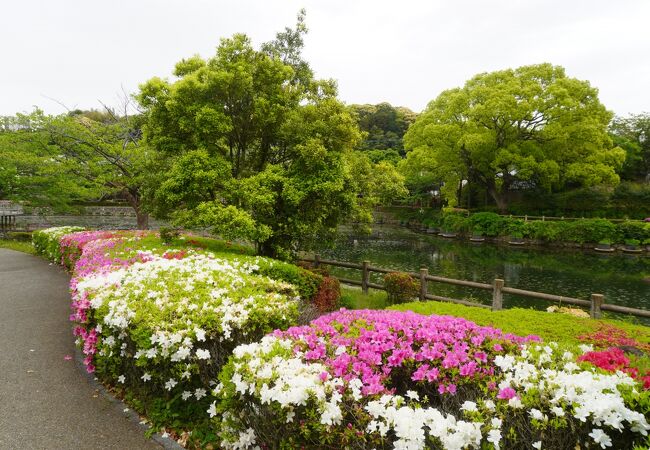 潤いのある公園