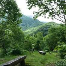 高山植物観察園