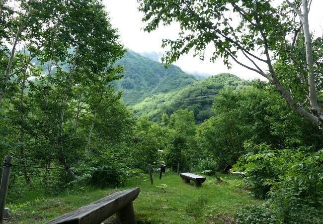 高山植物観察園