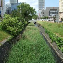 都心を流れますが緑豊かです