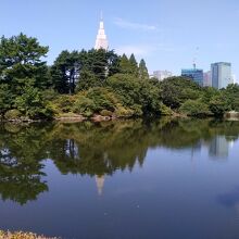 日本庭園風景