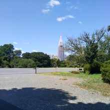 広場と新宿方面風景