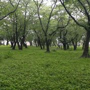 臼杵城跡を活かした公園