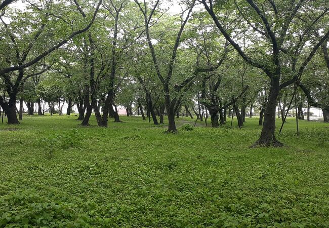 臼杵城跡を活かした公園