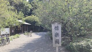 水戸市にある梅の名所！杉林と竹林をゆっくり散歩