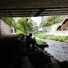 夏場はガード下が特にお勧め