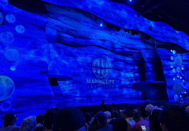 ファインディング ニモ ザ ビッグ ブルー アンド ビヨンド！