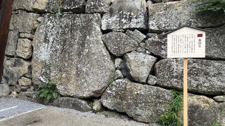 人が多かったです