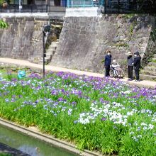 高瀬裏川