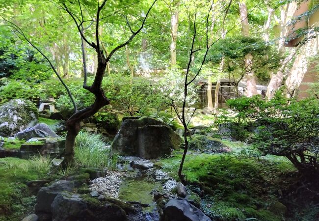 東山温泉