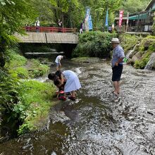 冷たさがしみる湧水