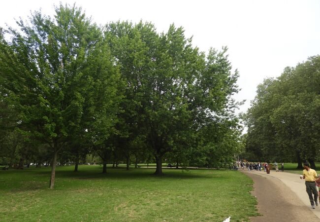 都心にありますが、広い芝生や大樹が茂る緑豊かな公園です。