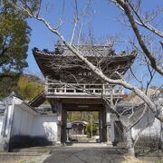 初代住職とその師を彫った木造乾峯士曇坐像、木造岳翁長甫坐像