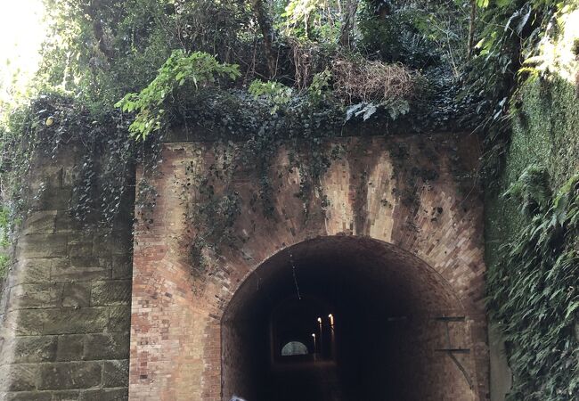 異世界な猿島の不思議なトンネル