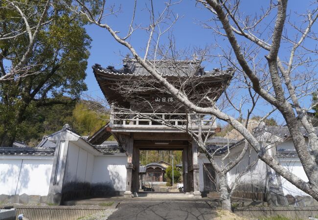 初代住職とその師を彫った木造乾峯士曇坐像、木造岳翁長甫坐像