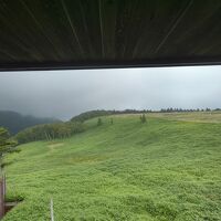 窓からの眺めは線入りガラスなのでイマイチ。