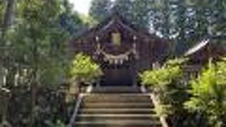 歴史のある神社だそうです