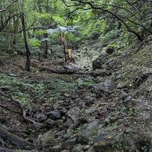 八重岳野戦病院壕跡。 
