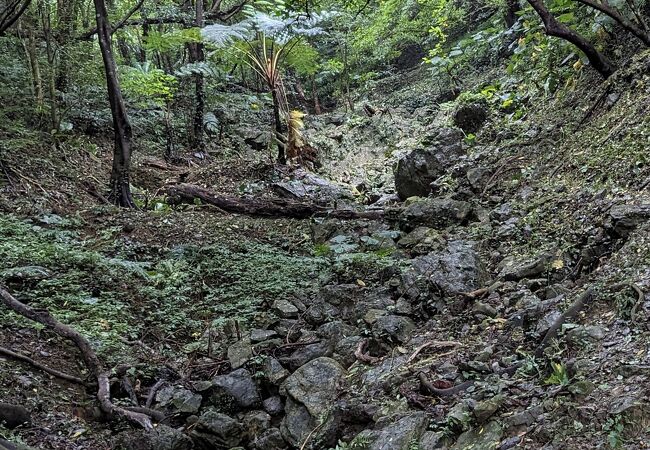 なごらん学徒が従軍した沖縄陸軍病院八重岳分院が置かれていた場所である。